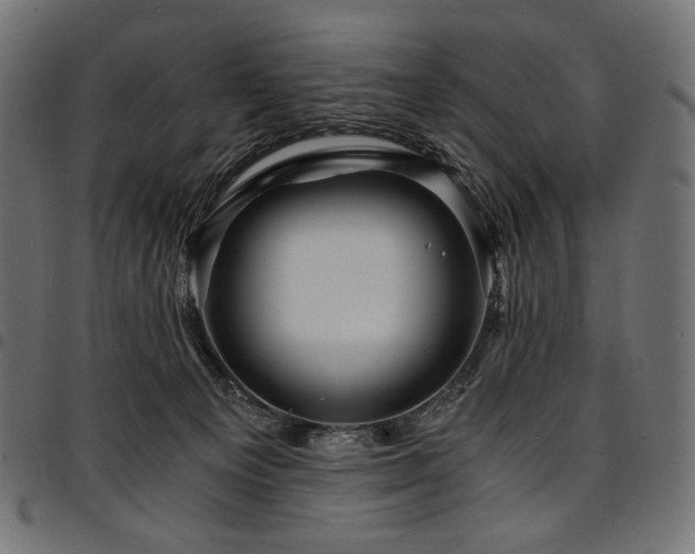 X0000095540129200712141533