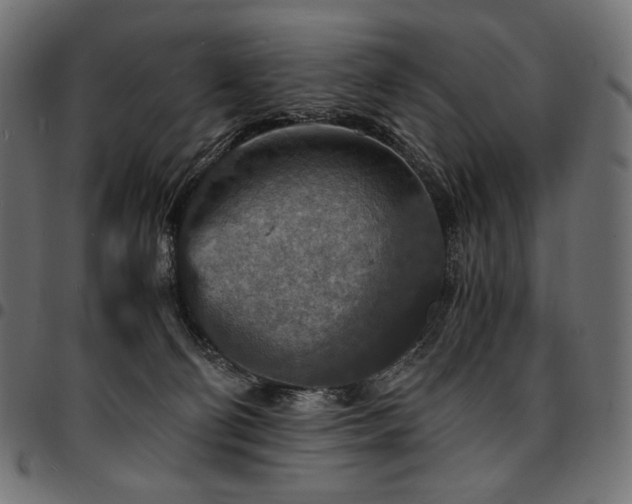 X0000095540130200712141533