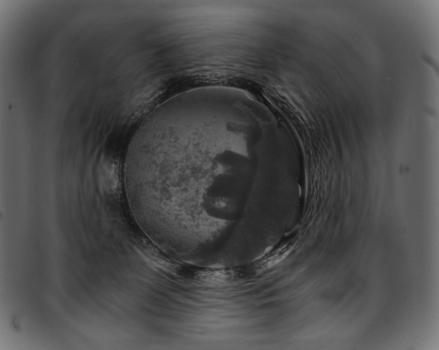 X0000095540131200712141533