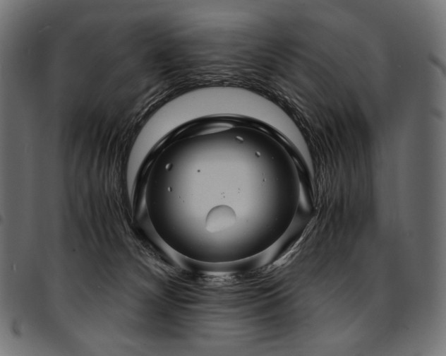 X0000095540132200712141533