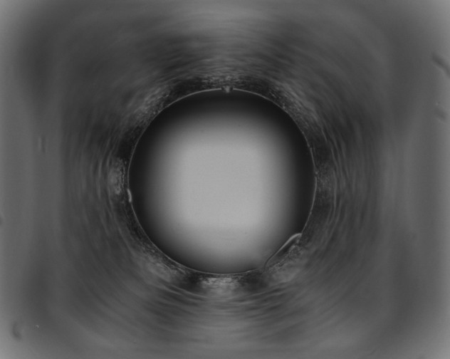 X0000095540133200712141533