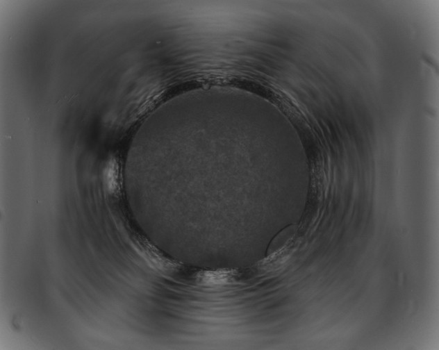 X0000095540134200712141533