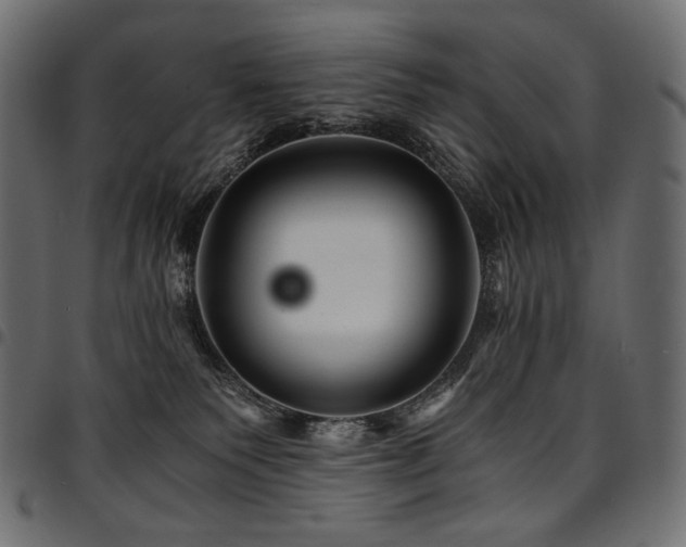 X0000095540135200712141533