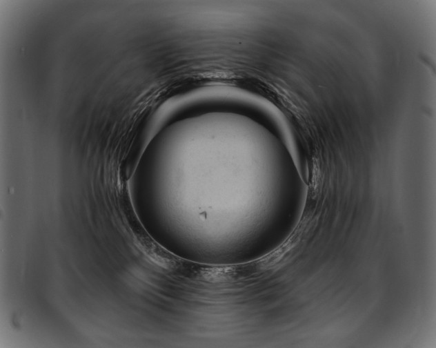 X0000095540136200712141533