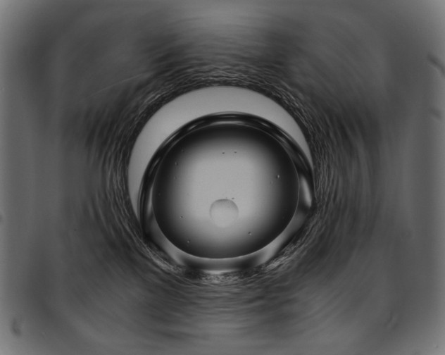 X0000095540137200712141533