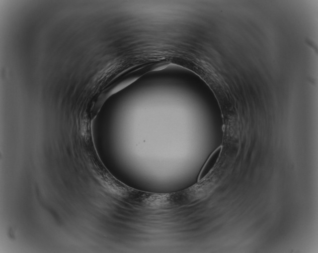 X0000095540138200712141533