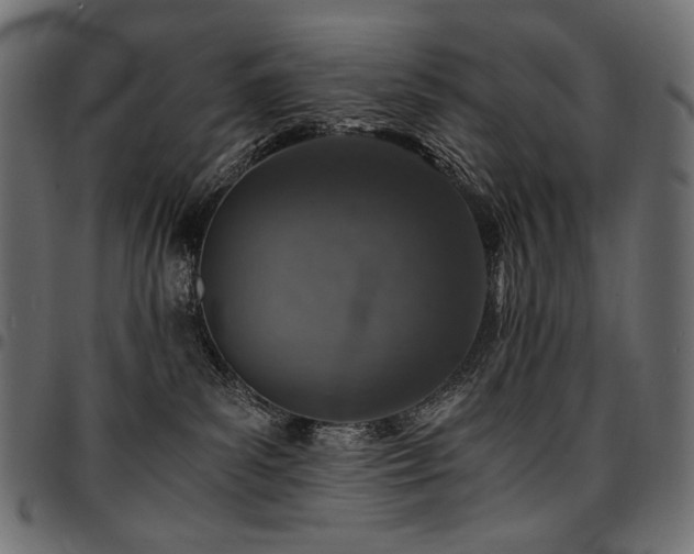 X0000095540139200712141533