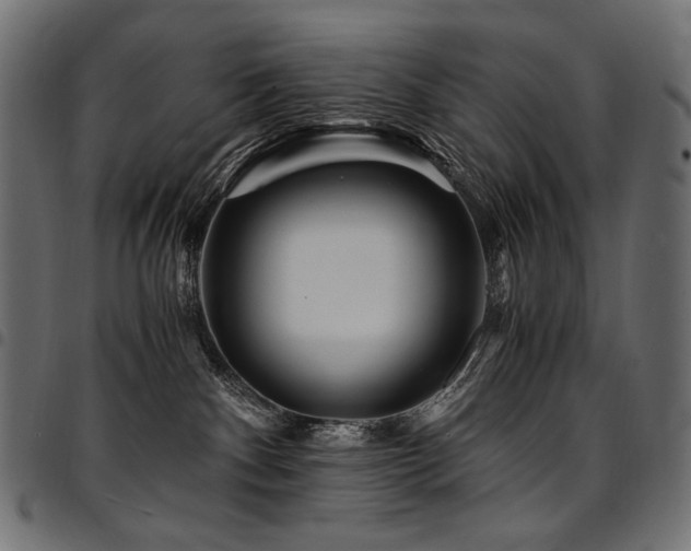 X0000095540140200712141533