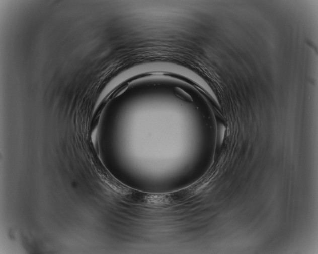 X0000095540141200712141533