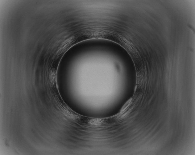 X0000095540142200712141533