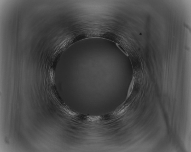 X0000095540143200712141532