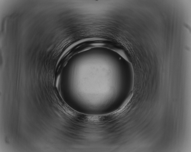 X0000095540144200712141532