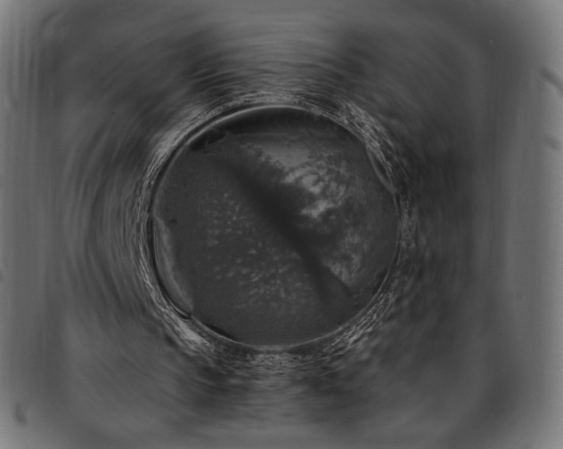 X0000095540145200712141532