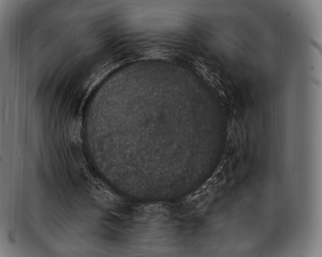 X0000095540146200712141532