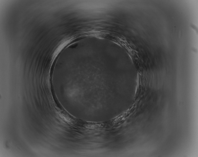 X0000095540147200712141532