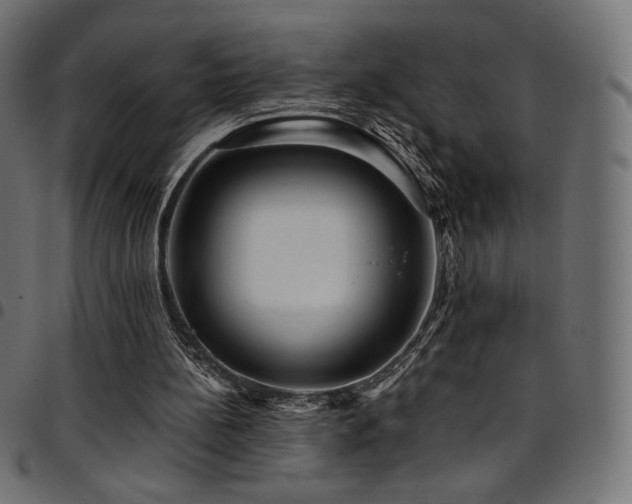 X0000095540148200712141532