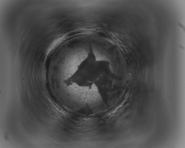 X0000095540149200712141532