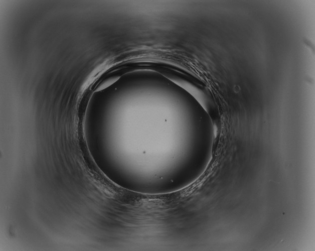 X0000095540150200712141532