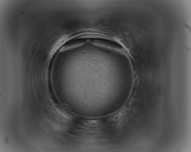 X0000095540151200712141532