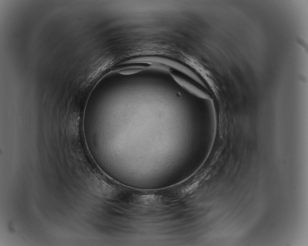 X0000095540153200712141532