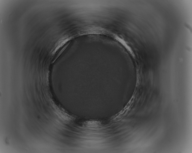 X0000095540154200712141532