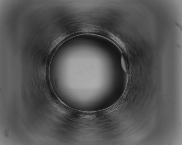 X0000095540155200712141532