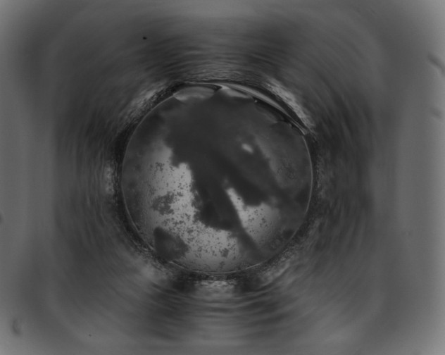 X0000095540161200712141532