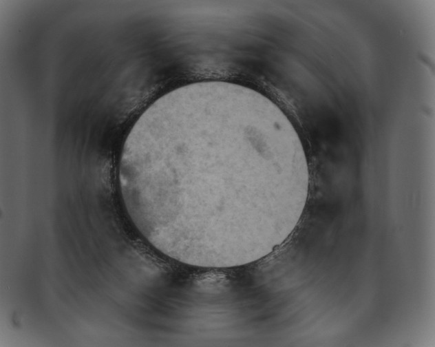 X0000095540162200712141532