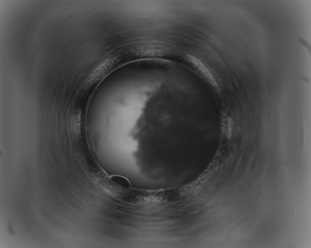 X0000095540163200712141532