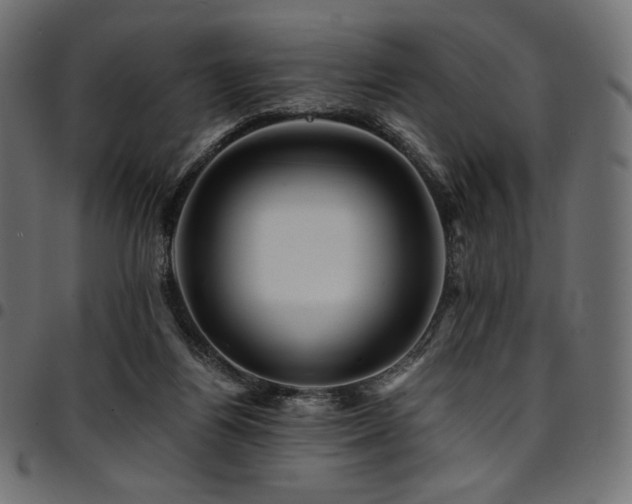 X0000095540164200712141532