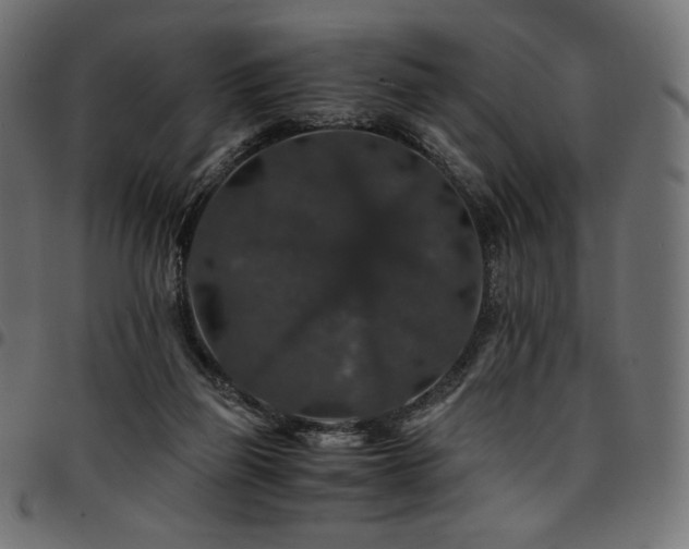 X0000095540165200712141532