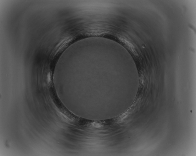 X0000095540166200712141532