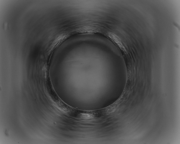 X0000095540167200712141532