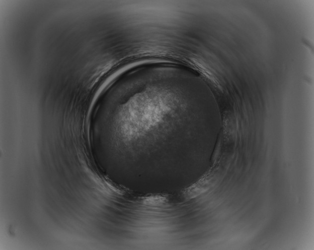 X0000095540168200712141532