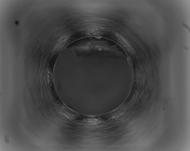 X0000095540169200712141532