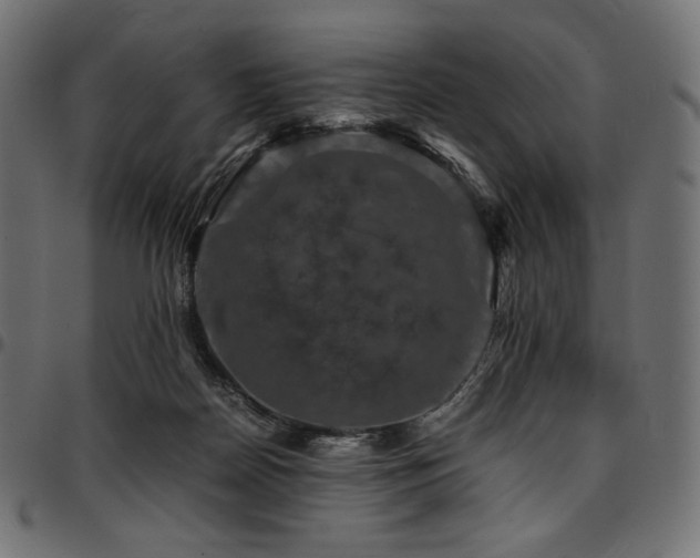 X0000095540170200712141532