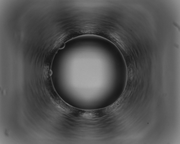 X0000095540171200712141532