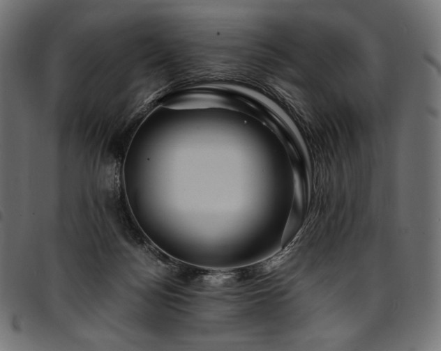 X0000095540172200712141532