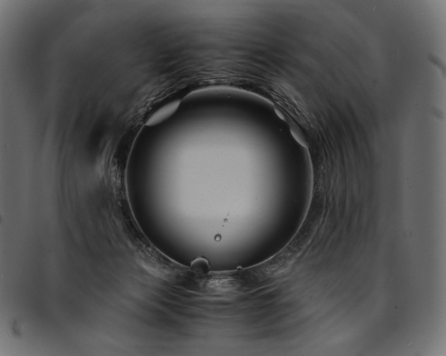 X0000095540173200712141532