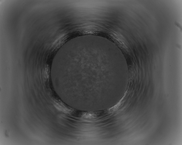 X0000095540174200712141532