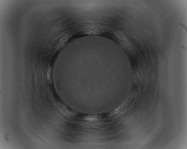 X0000095540175200712141532