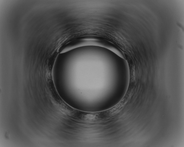 X0000095540176200712141532