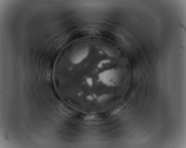 X0000095540177200712141532