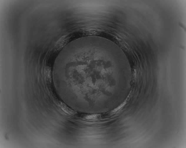 X0000095540178200712141532