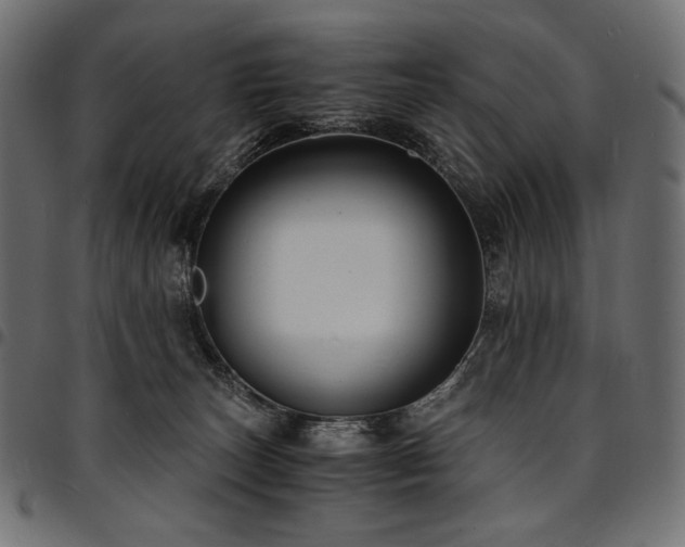 X0000095540179200712141532