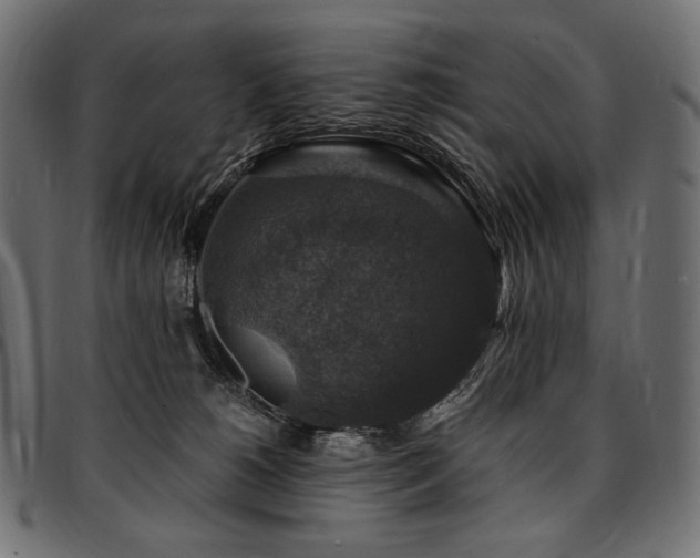 X0000095540180200712141532