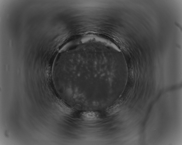 X0000095540181200712141532