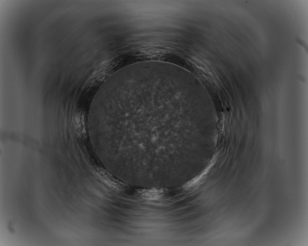 X0000095540182200712141532