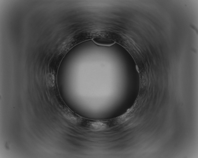 X0000095540183200712141532