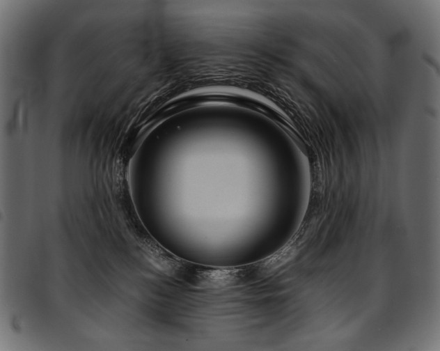 X0000095540184200712141532